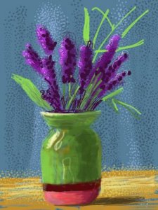 purple flowers.jpg