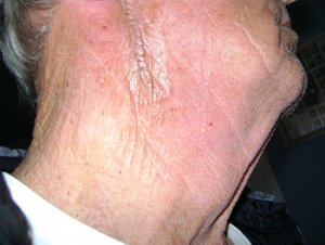 11-25-2011 008 1.jpg