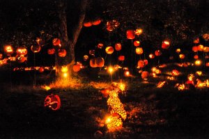 jack-o-lantern-blaze-hanging.jpg