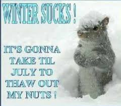 nuts.jpg