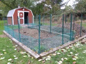 finished garden (800x600).jpg