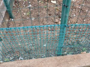 garden fence (800x600).jpg