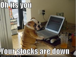 oh-its-you-your-stocks-are-down-lol.JPG