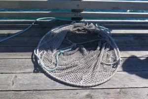 landing-net.jpg