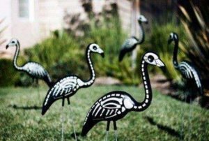 our-flamingos-went-photo-u1.jpg