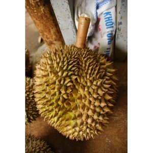 Durian.jpeg