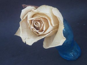 IMG_4716.jpg