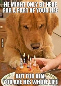 FB_IMG_1541061965847.jpg