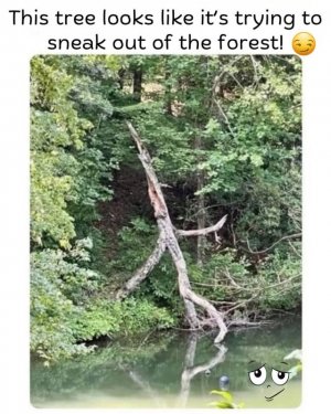 FB_IMG_1739135228622.jpg