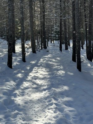 IMG_7516.jpeg