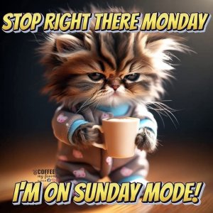 FB_IMG_1739210259058.jpg