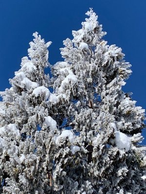 thumbnail_IMG_6626.jpg