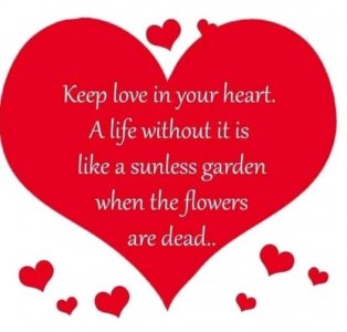 loveinyour heart.jpg