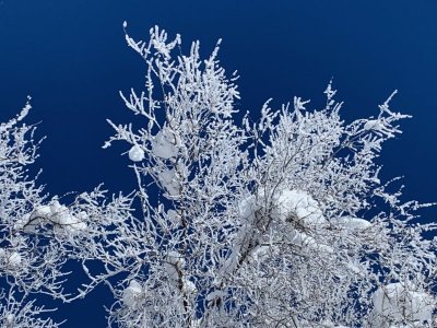 thumbnail_IMG_6627.jpg