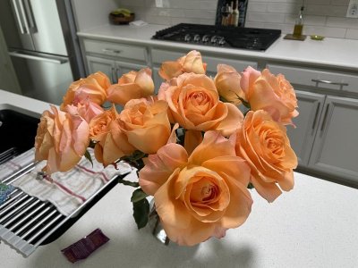 IMG_4502.jpeg