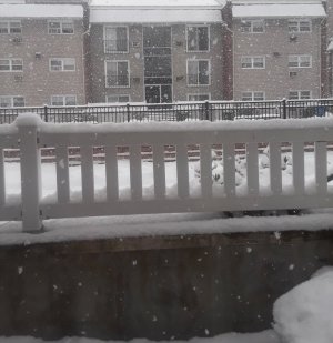 20210207_104549.jpg