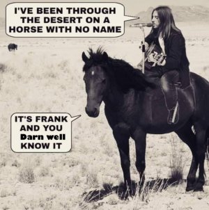 horse with no name 2.jpg