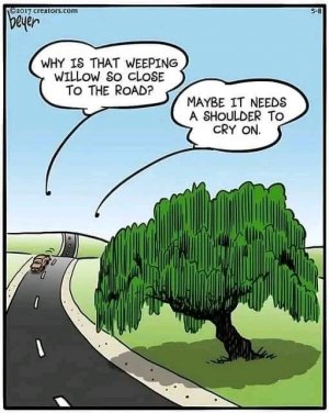 funnyweepingw.jpg