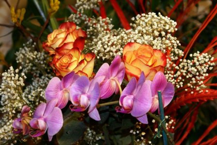 flower a day cut.jpg