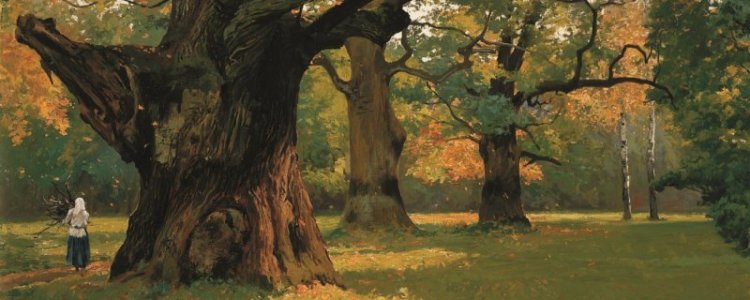 cropped-cropped-michac582-gorstkin-wywic3b3rski-114.jpg