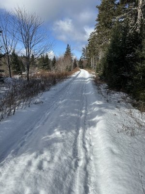IMG_7525.jpeg