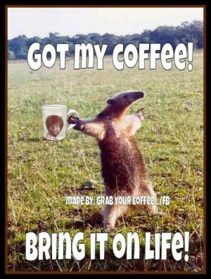 4cf3999d3f3eb5a4057310b159c7ec6e.jpg