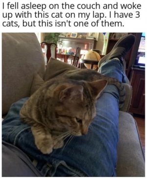 FB_IMG_1739323402829.jpg