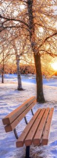 winter-trees-sunset-landscape-park-bench-beautiful-sky-rest-sunrise-snow-nature-glow-rays-sun-...jpg winter-trees-sunset-landscape-park-bench-beautiful-sky-rest-sunrise-snow-nature-glow-rays-sun-...jpg