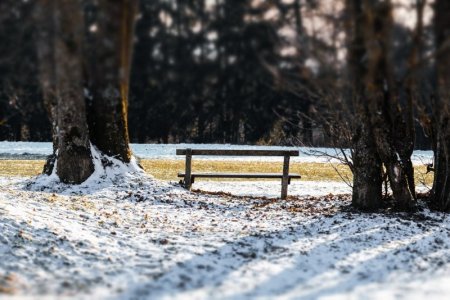 bench-5813849_1280 NickyPe Pix.jpg bench-5813849_1280 NickyPe Pix.jpg
