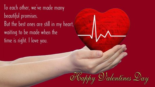 special-happy-valentines-day-2017-romantic-messages-for-wife (11).jpg