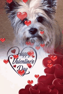 happy-valentines-day-valentines-day.gif