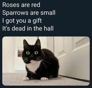 1000009446.jpg