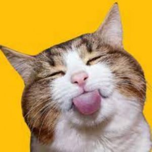 tongue2.jpg tongue2.jpg