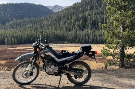 XT250view.jpg