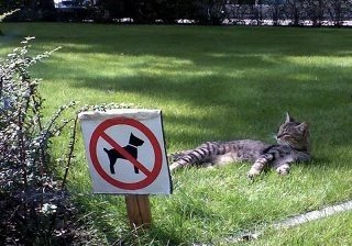 sign1.jpg