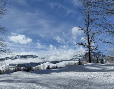 IMG_5359.jpg