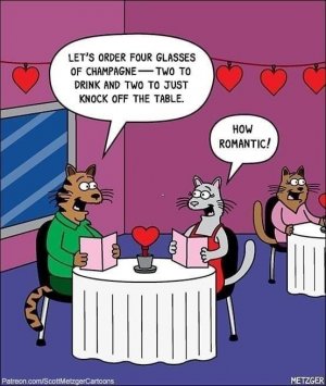 catromance.jpg