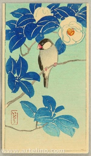 IMG_1746.jpeg IMG_1746.jpeg