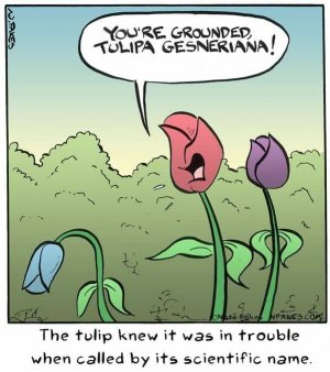funny-comics-ridiculous-situations-puns-cartoonist-nate-fakes-9.jpg