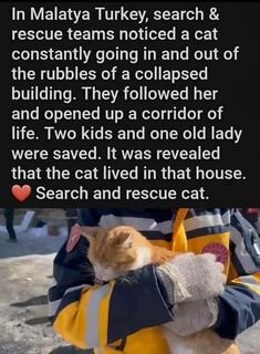 5b4117e3a1ea88c8e7bb140219364bb5.jpg