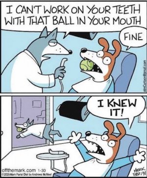 Thieving Dentist.jpg