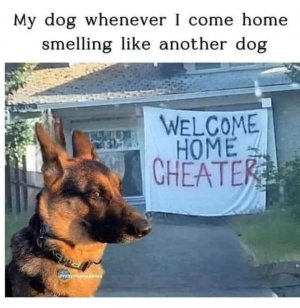 FB_IMG_1739595235508.jpg