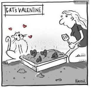 FB_IMG_1739637042788.jpg