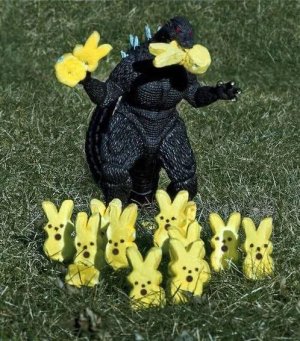 IMG_0496.jpeg