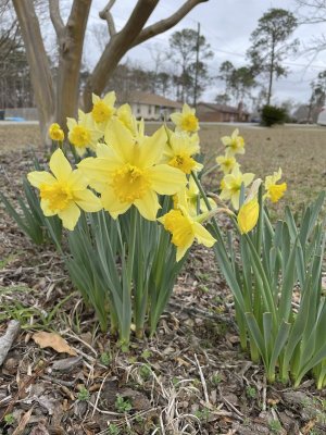 IMG_1899.jpeg