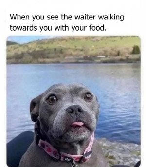 FB_IMG_1739476421344.jpg