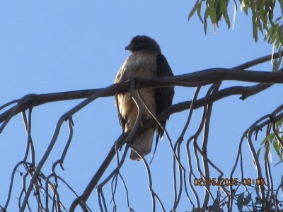 IMG_7588.JPG