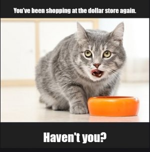 cats4.jpg