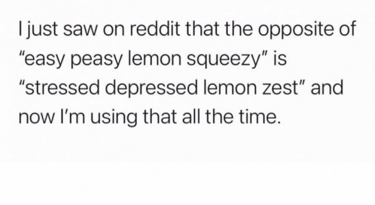 476829472_8489350697833506_9123997959390842421_n~2.jpg