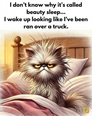 FB_IMG_1739476583662.jpg